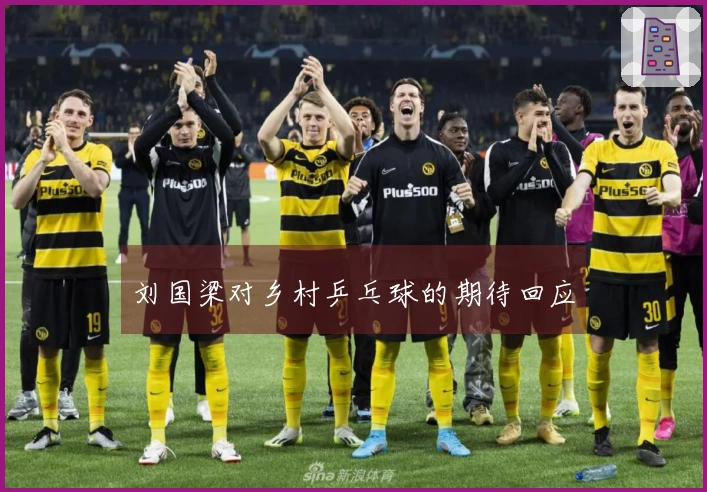 刘国梁对乡村乒乓球的期待回应