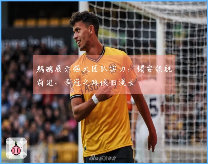 鹈鹕展示强大团队实力,锡安领航前进,争冠之路依旧漫长