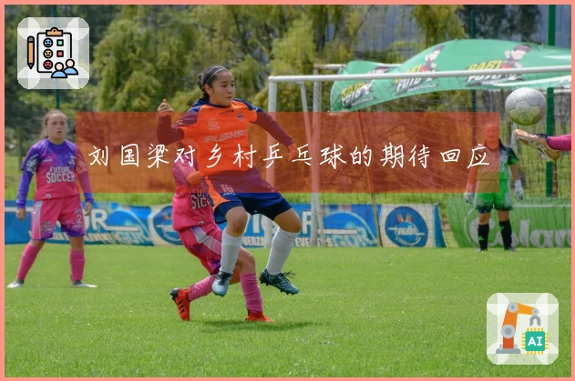 刘国梁对乡村乒乓球的期待回应